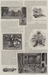 Blenheim Palace Illustrated